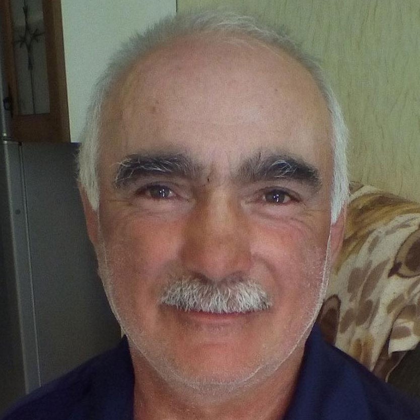 ᲓᲐᲕᲘᲗ ᲒᲘᲣᲜᲐᲨᲕᲘᲚᲘ